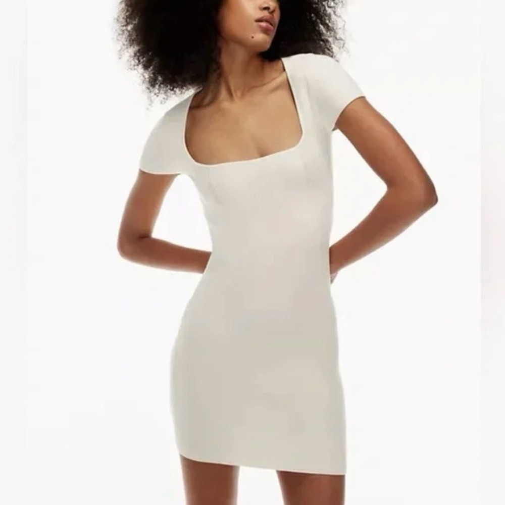 Aritzia Babaton Emerge Dress